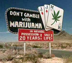Указатель на дороге: 20 лет за хранение марихуаны, за продажу - пожизненно (кадр из фильма "Страх и ненависть в Лас-Вегасе")